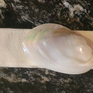 VINTAGE STUNNING SEASHELL BELT. SIZE LARGE